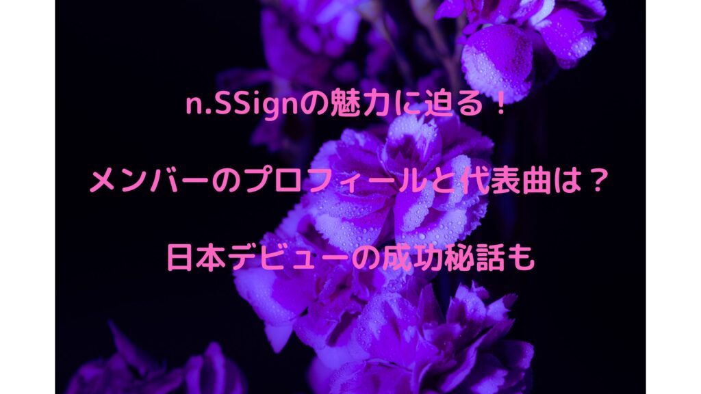 n.SSignの魅力に迫る！メンバーのプロフィールと代表曲は？日本デビューの成功秘話も